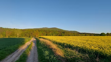 Pola i krajobraz Dolnego Śląska